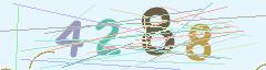 CAPTCHA validation image