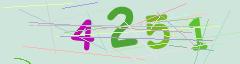 CAPTCHA validation image