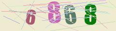CAPTCHA validation image