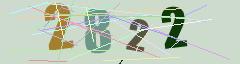 CAPTCHA validation image