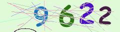 CAPTCHA validation image