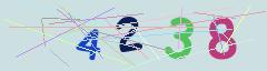 CAPTCHA validation image