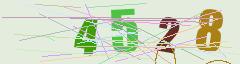 CAPTCHA validation image