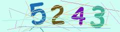 CAPTCHA validation image