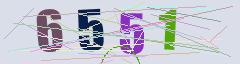 CAPTCHA validation image
