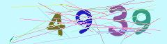 CAPTCHA validation image