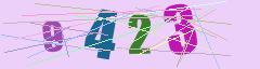 CAPTCHA validation image