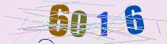 CAPTCHA validation image
