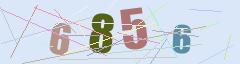 CAPTCHA validation image