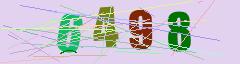 CAPTCHA validation image