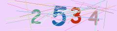 CAPTCHA validation image