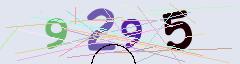 CAPTCHA validation image