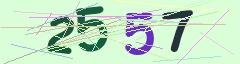 CAPTCHA validation image
