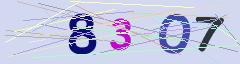 CAPTCHA validation image