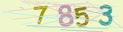 CAPTCHA validation image