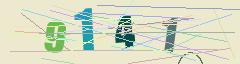 CAPTCHA validation image