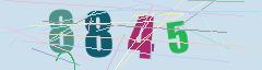 CAPTCHA validation image