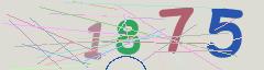 CAPTCHA validation image
