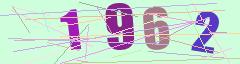 CAPTCHA validation image
