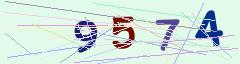 CAPTCHA validation image