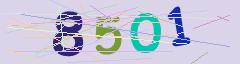 CAPTCHA validation image