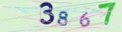 CAPTCHA validation image