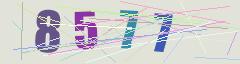CAPTCHA validation image