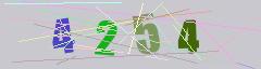 CAPTCHA validation image