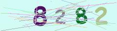 CAPTCHA validation image