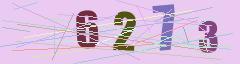 CAPTCHA validation image