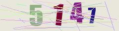 CAPTCHA validation image