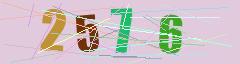 CAPTCHA validation image