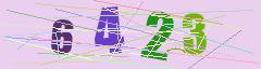 CAPTCHA validation image