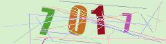 CAPTCHA validation image