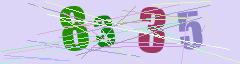 CAPTCHA validation image