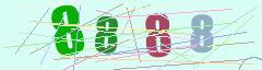 CAPTCHA validation image