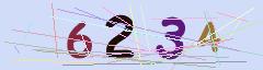 CAPTCHA validation image