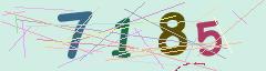 CAPTCHA validation image