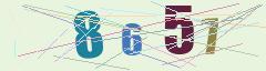 CAPTCHA validation image