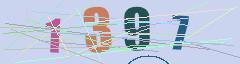 CAPTCHA validation image