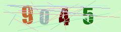 CAPTCHA validation image