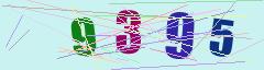 CAPTCHA validation image