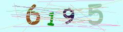 CAPTCHA validation image