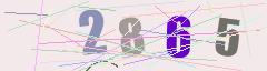 CAPTCHA validation image