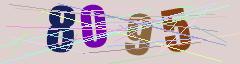 CAPTCHA validation image