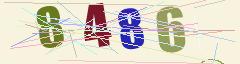 CAPTCHA validation image