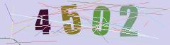 CAPTCHA validation image