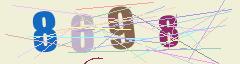 CAPTCHA validation image