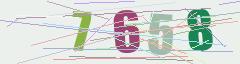 CAPTCHA validation image