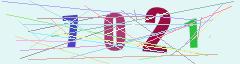CAPTCHA validation image